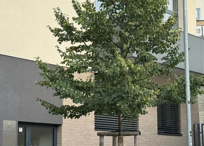 Spacious Urban With Terrace 公寓 *